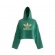 Adidas Originals Trefoil Hoodie — S / Pre-Owned