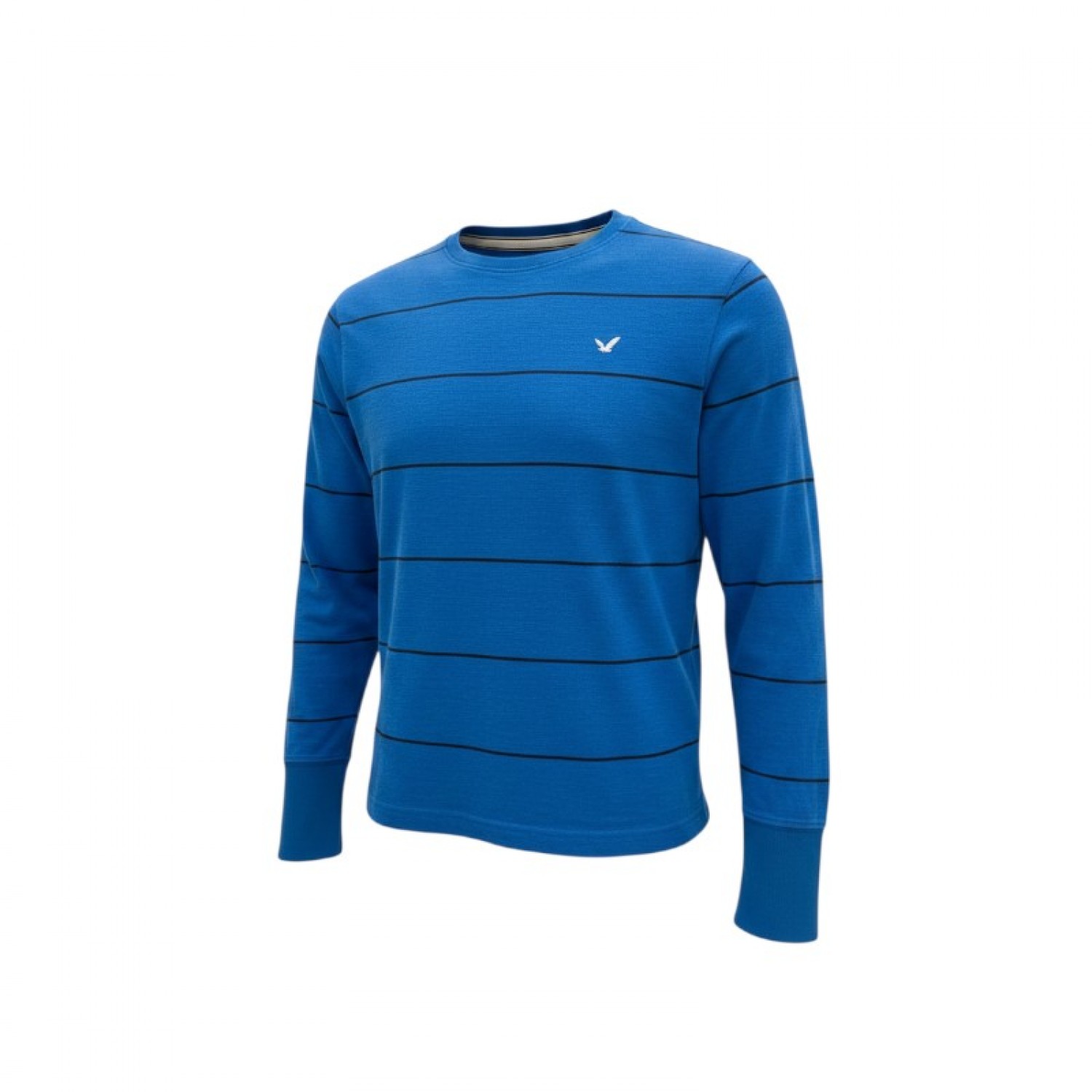 American Eagle Blue Striped Long-Sleeve Top — Size M / Pre-Owned