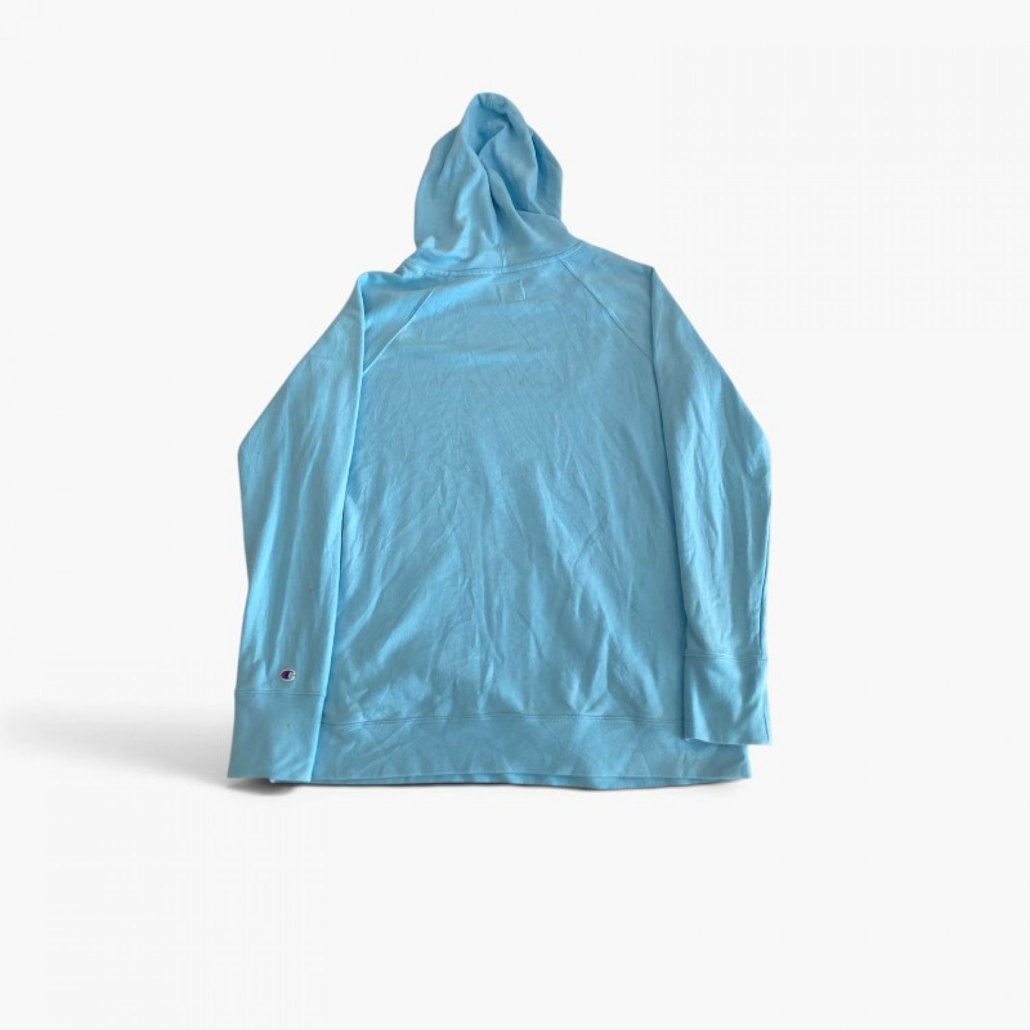 Champion Pullover Hoodie — L / Pre-Owned