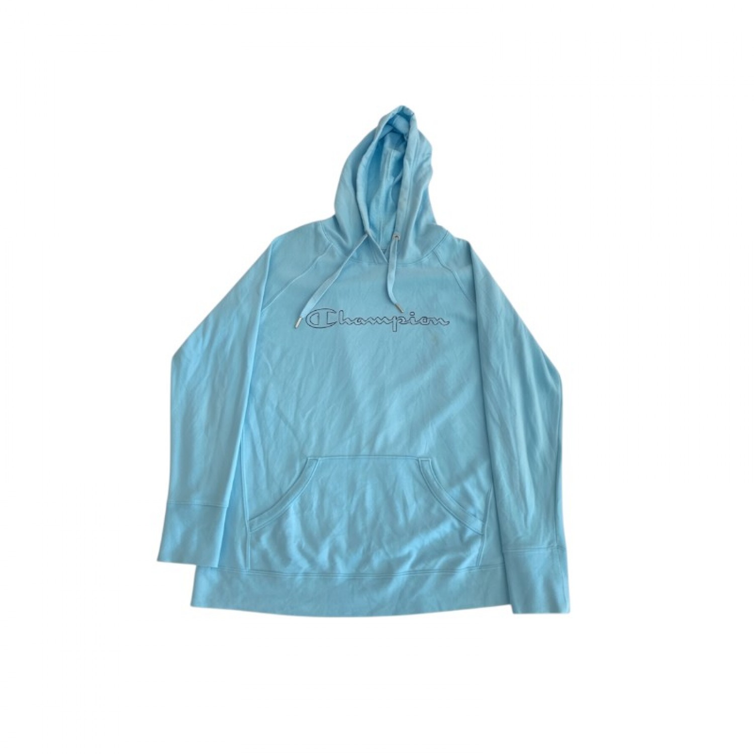 Champion Pullover Hoodie — L / Pre-Owned