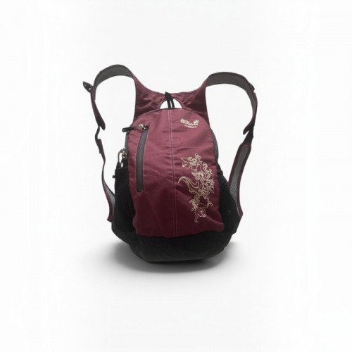 Outdoor Dragon Backpack / Pre-Owned