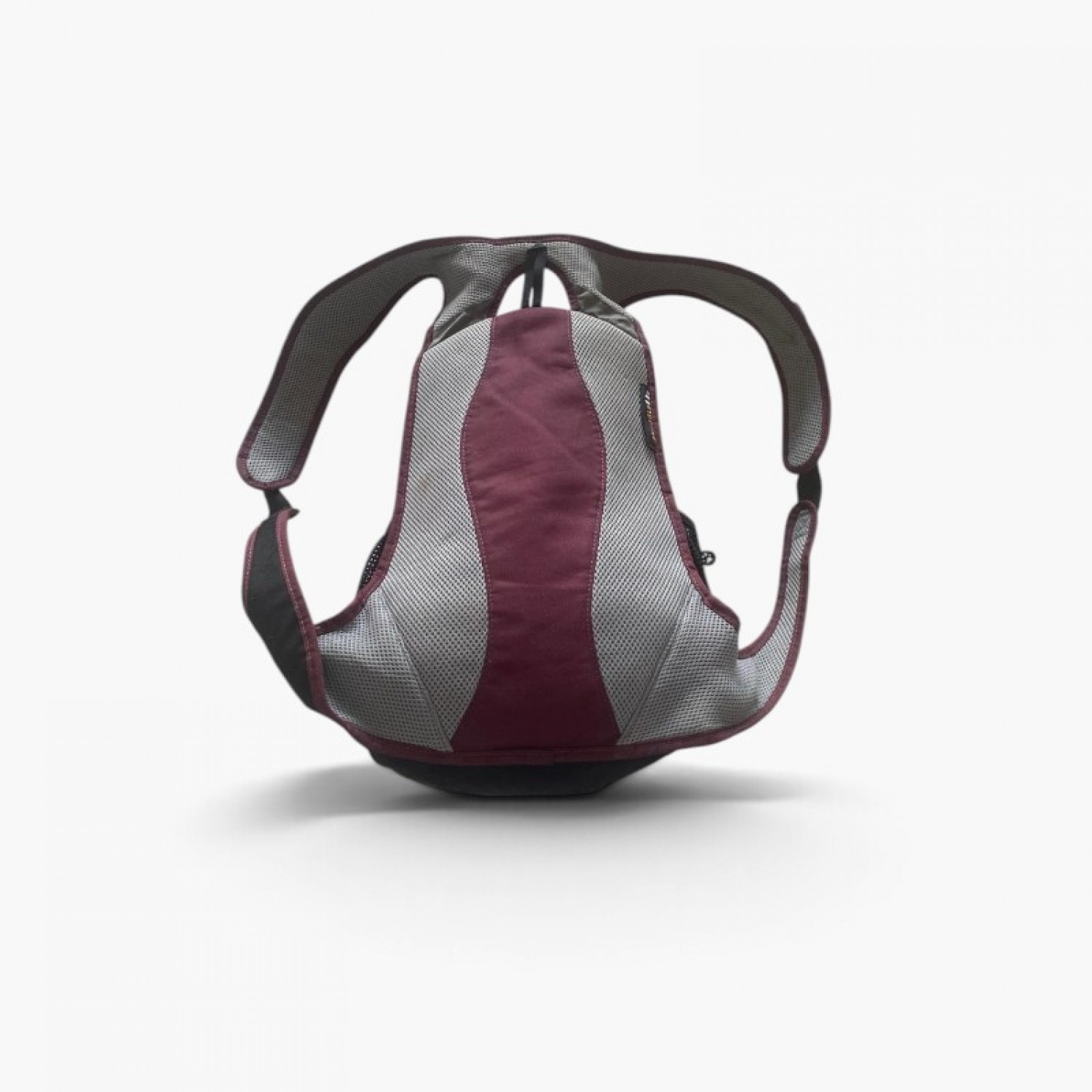 Outdoor Dragon Backpack / Pre-Owned