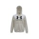 Under Armour Logo Hoodie — Size M / Pre-Owned